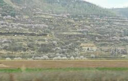 兰山写真,探寻自然之美与人文情怀