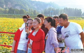 王村的网红,揭秘乡村新势力崛起之路