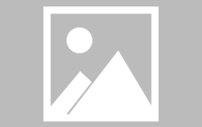 复旦网红法学,法学界的璀璨新星